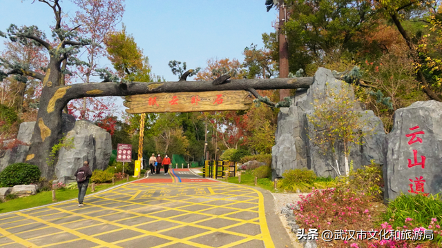 赶紧收藏！森林公园3大玩法新鲜出炉