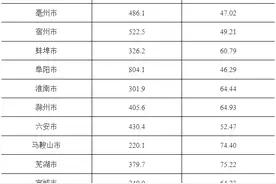 刚刚发布！合肥市常住人口超1000万图片