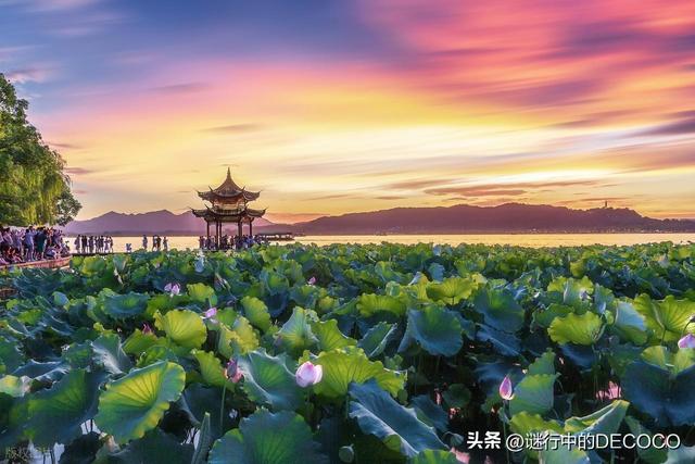 上海苏杭旅游攻略：把江南的“灵”揉进行程里