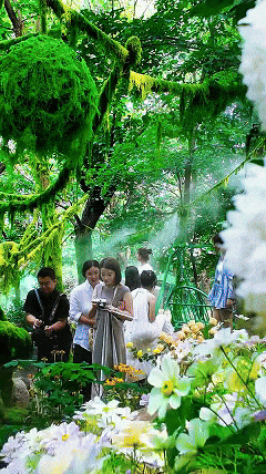 逃离酷暑，邂逅19℃的夏天——沂山，你的天然清凉秘境