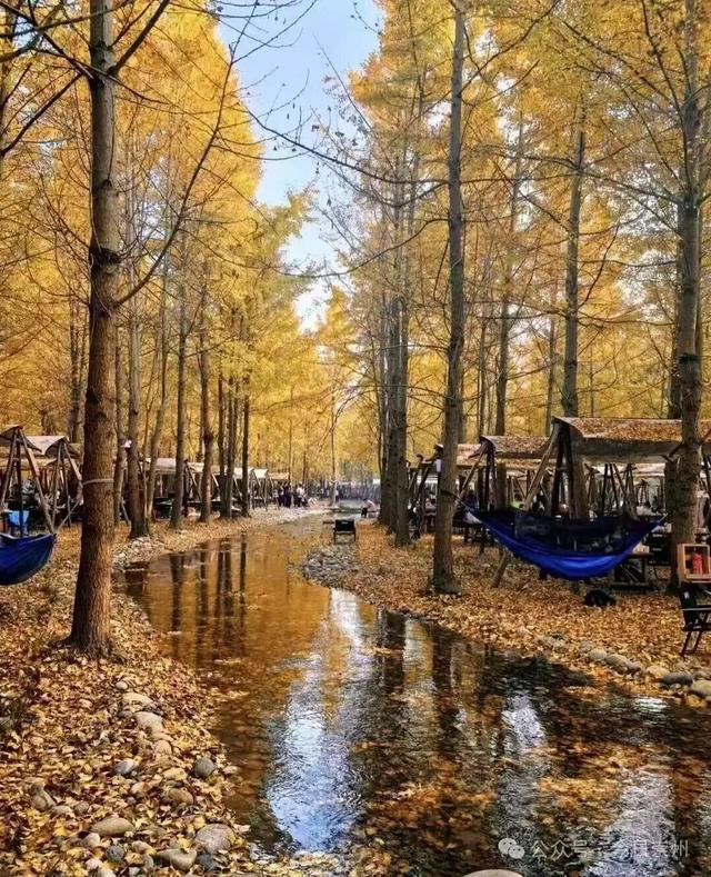 秋假去哪？崇州这些亲子游宝藏地不容错过