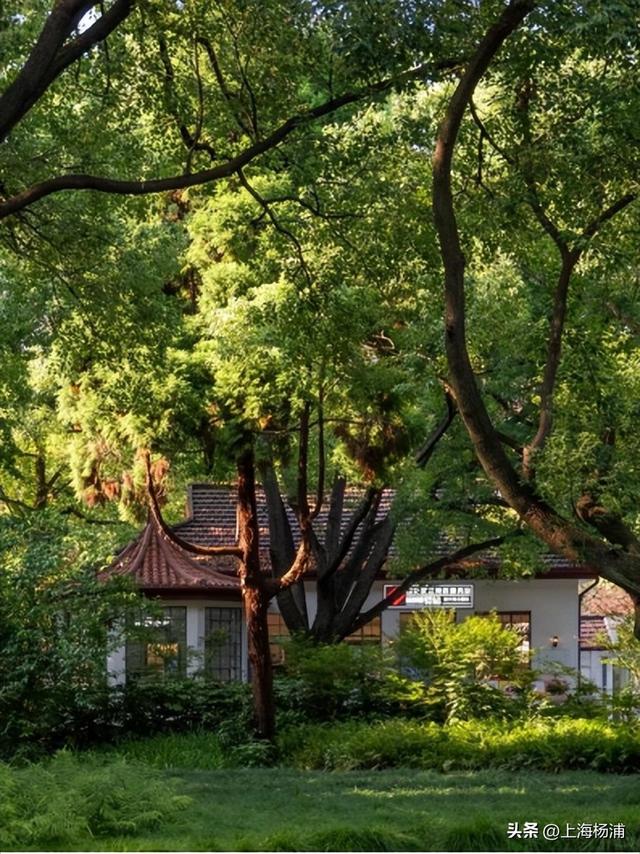 快来杨浦打卡！这条游玩线路有料又出片→