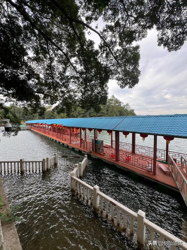 游流溪河森林公园