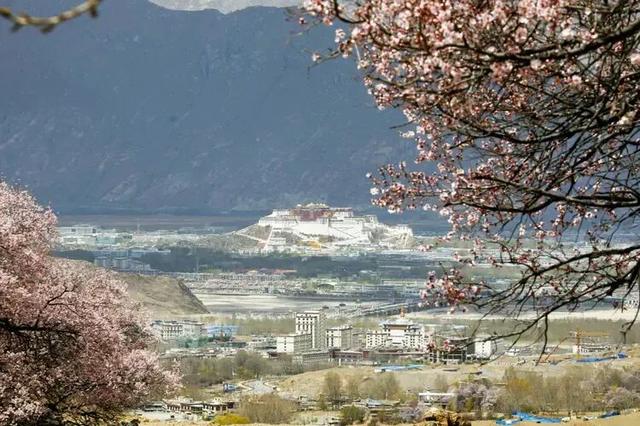 春天必来西藏！解锁雪域高原的限定春日浪漫！