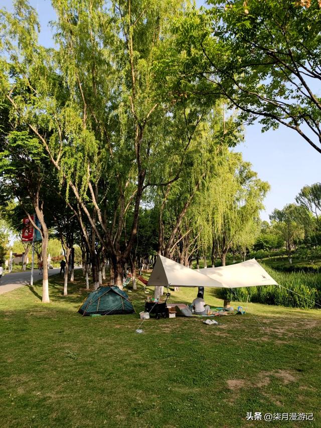 西安东郊最大的公园蔷薇花还很美,露营的游客多,小桥流水游乐场