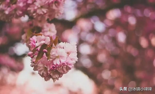 女人长期单身，会不会特别想男人？来听听3位女人的实话