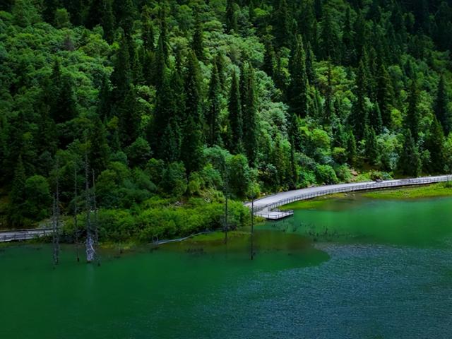 夏末初秋｜达古之绿是四季写给山河的散文诗