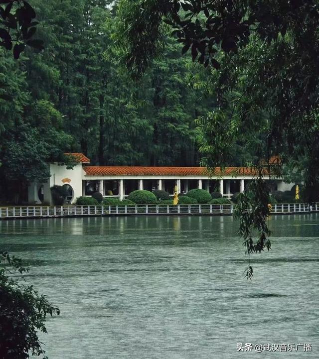 下雨天，来武汉这里沉浸式听雨