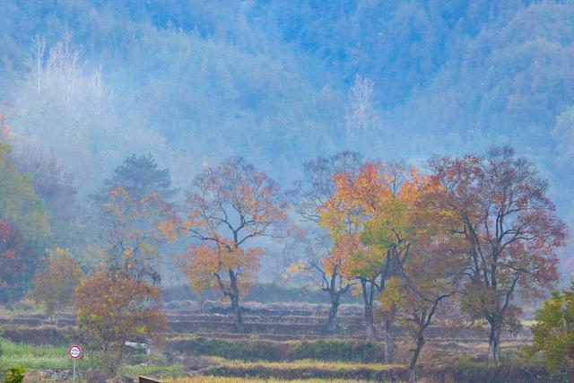 大别山中徐凤冲