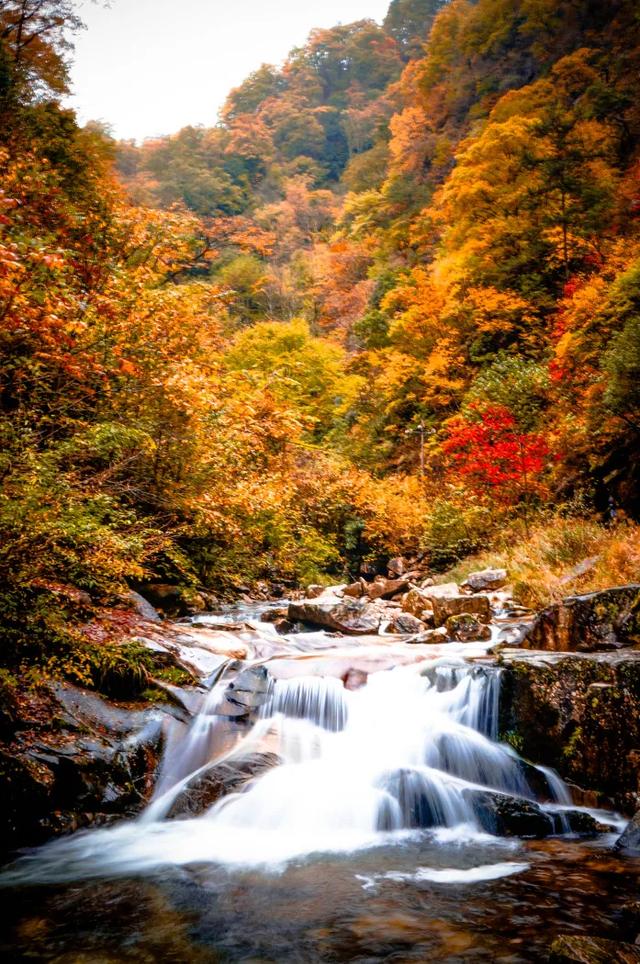 赏秋正当时!自驾来汉中,赴一场秋日视觉盛宴~