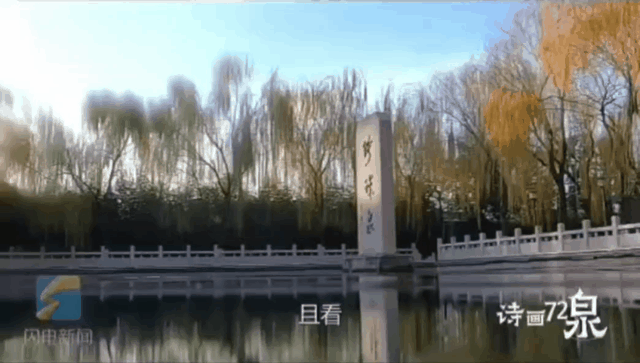 被济南泉水下的世界惊艳到了！