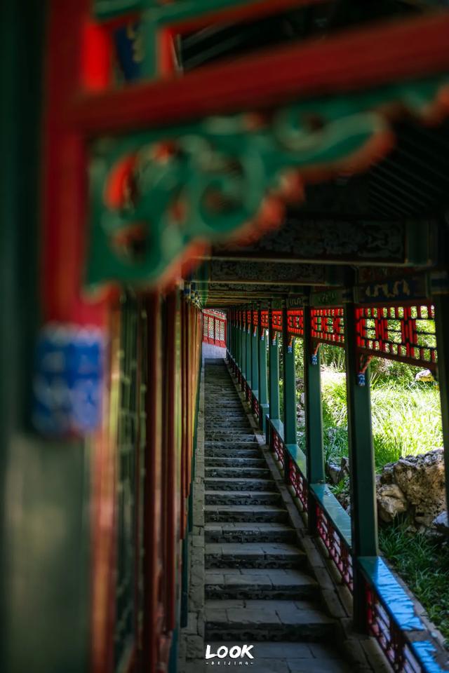 北海公园最美园中园，藏在这里
