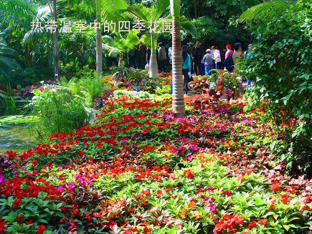 北京旅游：走进西山脚下的植物园（图）