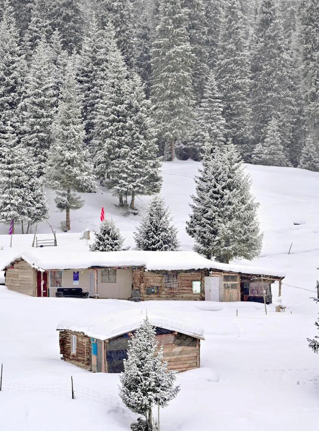 冬季呼伦贝尔海拉尔、阿尔山、满洲里、根河不冻河、漠河、北极村