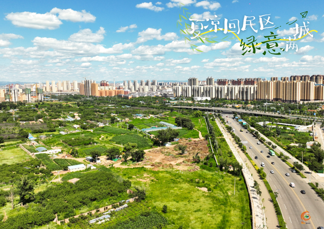 呼和浩特市回民区的夏天，是“植”得N刷的绿！