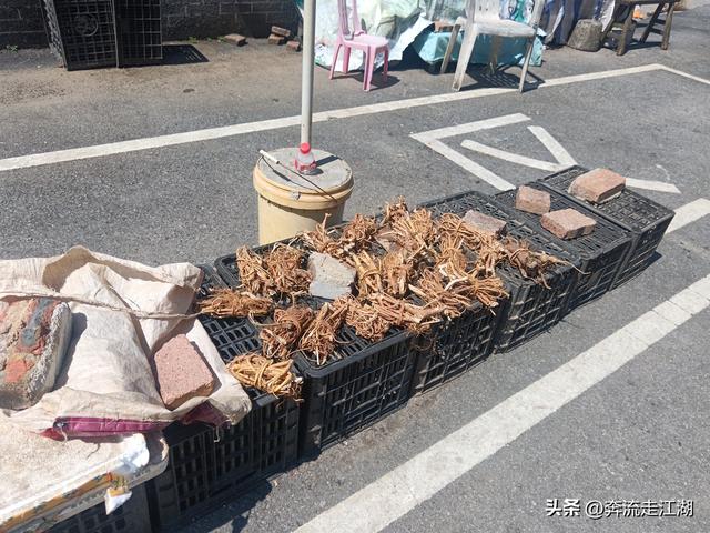 逛广东大峡谷，路过大布镇的农贸市场