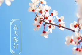 明明脚肿如裹，偏从肝颈调理：四逆散+颈三药，治脚水肿效果好？图片