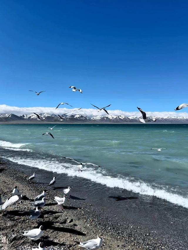 拉萨必去十大景点排行榜，这才是拉萨最值得去的10个景点，收好！