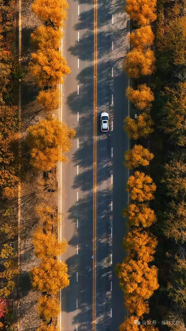 10月,再见;11月,你好!