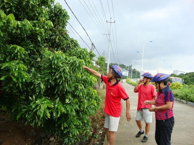 五十岁的我踏上新旅程 首骑单车(二)莆田工艺美术城2010.9.23---26