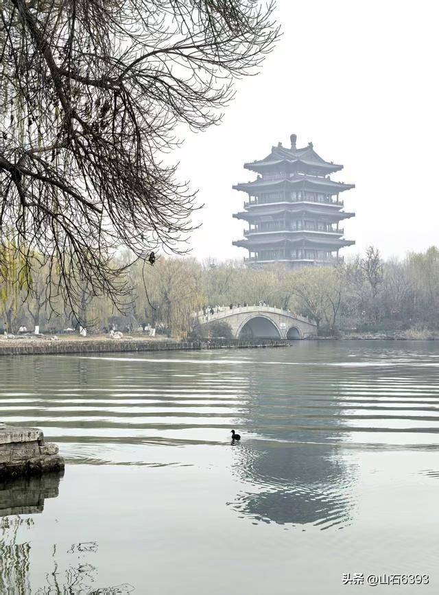新华社原军事记者陶俊峰泉城美拍：《冬雾中的大明湖》