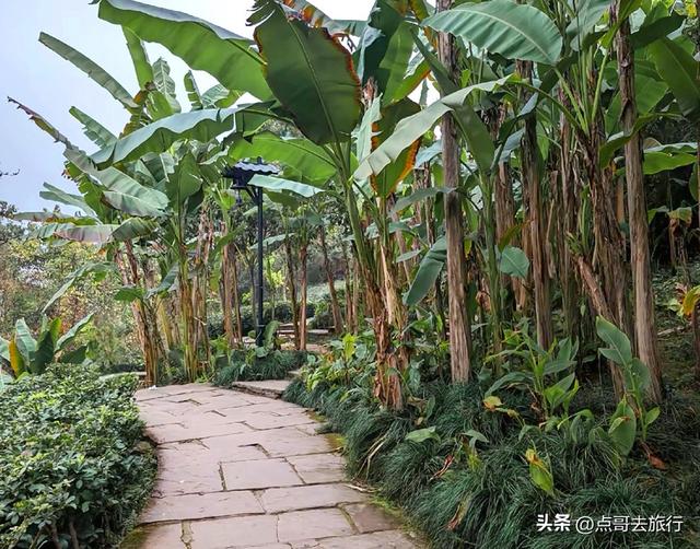 成都最近的6条爬山路线，超长的山脊线视野壮阔，都不要门票！