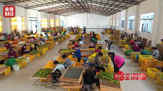 央视曝光！已连夜成立调查组