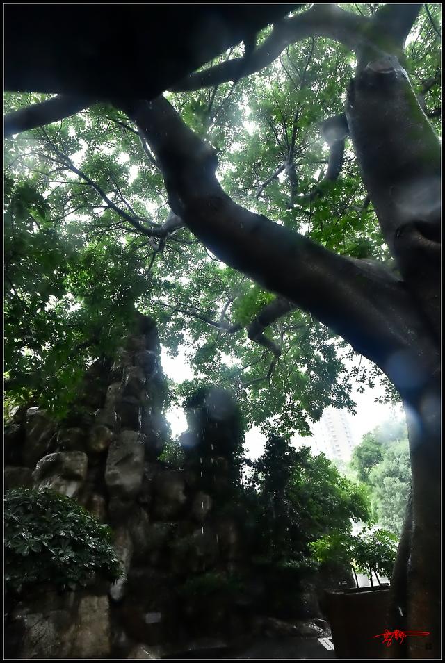 成都人民公园