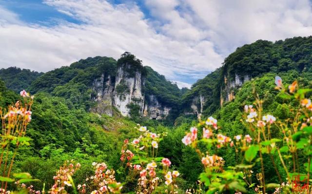 汉中黎坪景区闭园公告