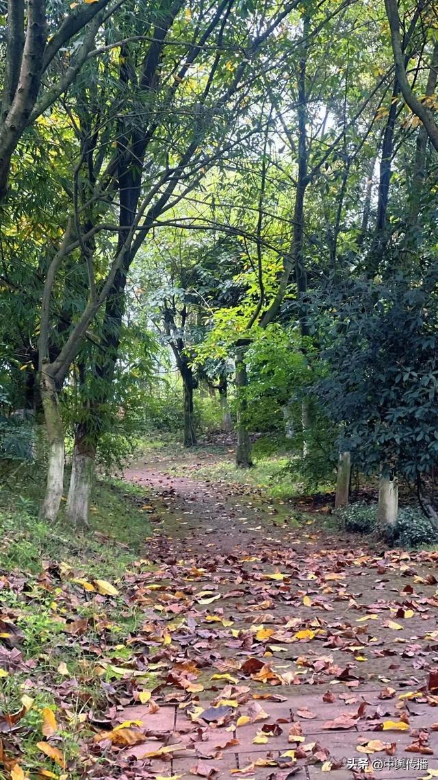 邂逅春日美景·凝聚奋进力量——隆投集团2026年春游活动圆满举行