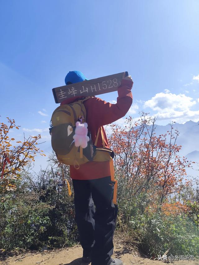 又见山山红叶飞