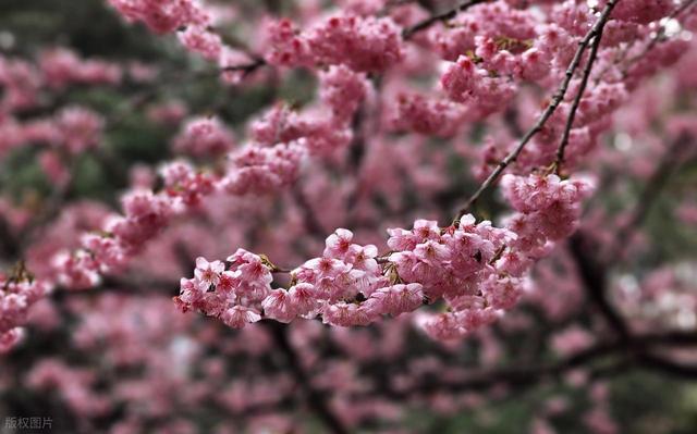 高铁直达！最适合3月小住几天的安逸小城，节奏慢，每个都超治愈