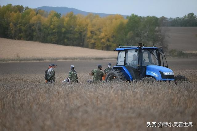 冷空气突袭！7400万亩秋粮抢收告急，农民连夜抢收保粮