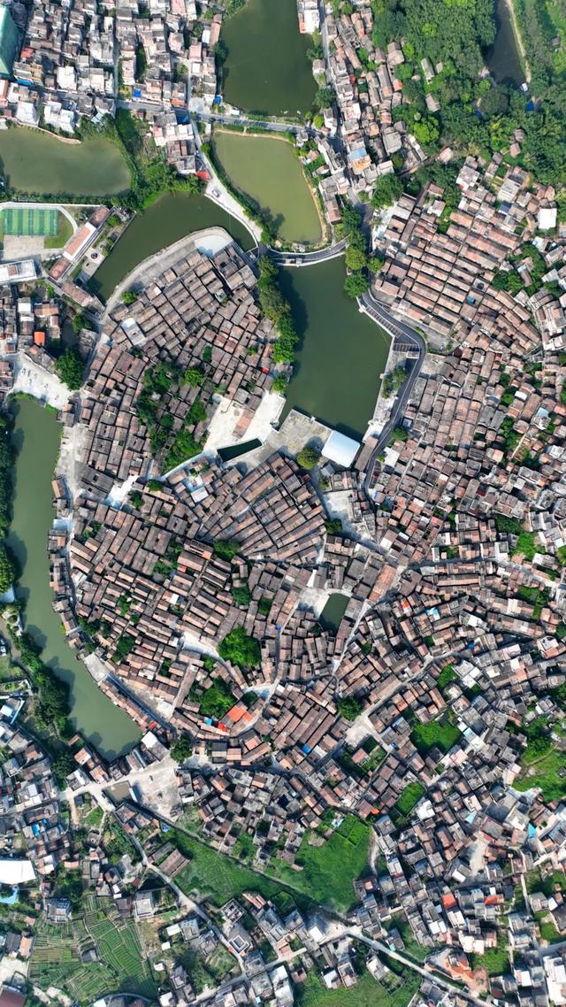 省媒关注！高要这条800多年的古村，太有魅力了！