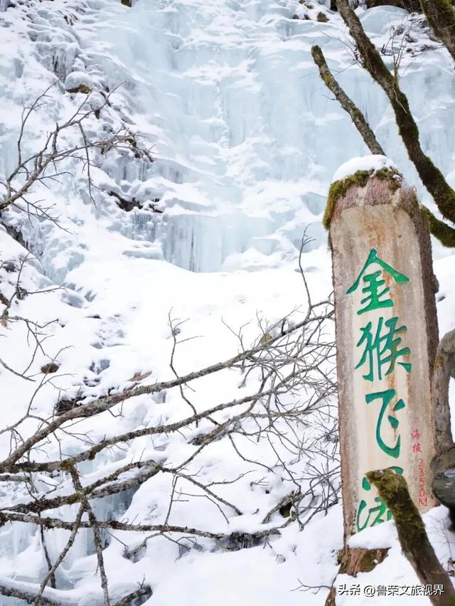 雪落神农架：解锁华中秘境的冬日仙境