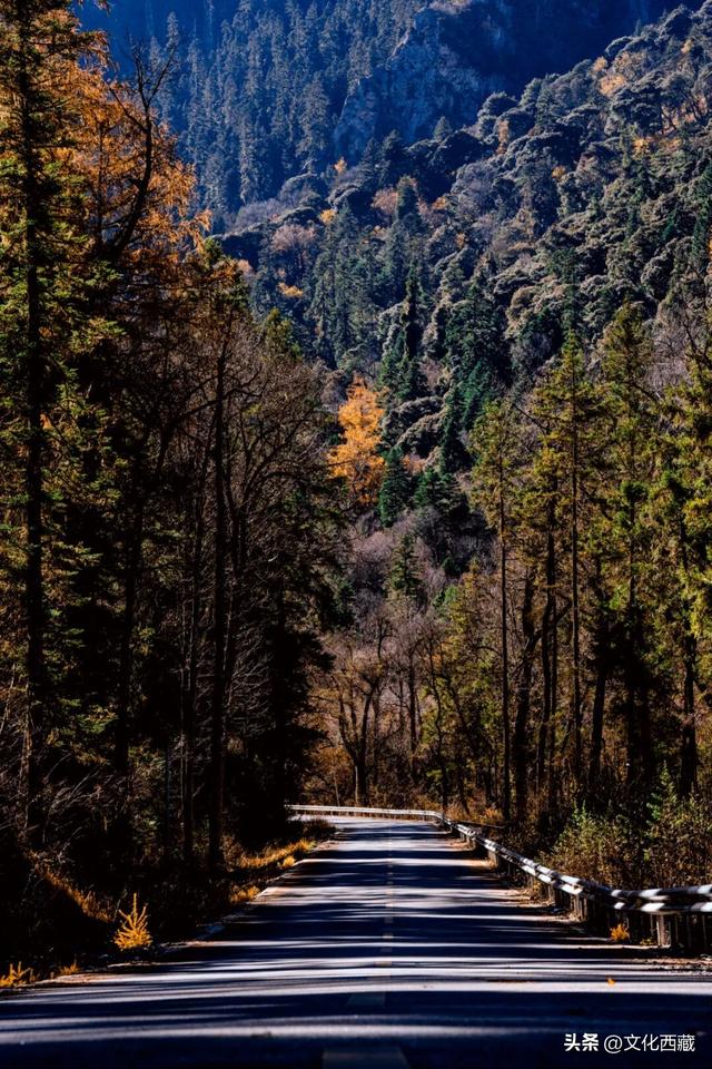 如果此生只来一次西藏林芝，我一定会去这里→