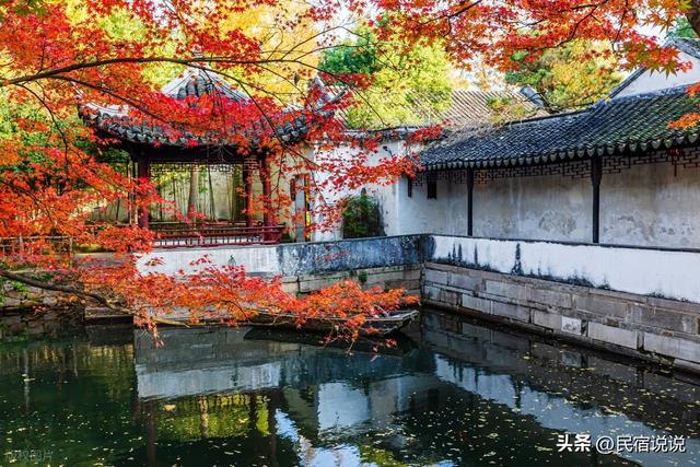 苏州居然还藏着一个“中国四大枫叶胜地”！