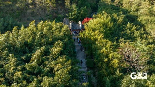 静美如画 竹子庵公园秋意盎然