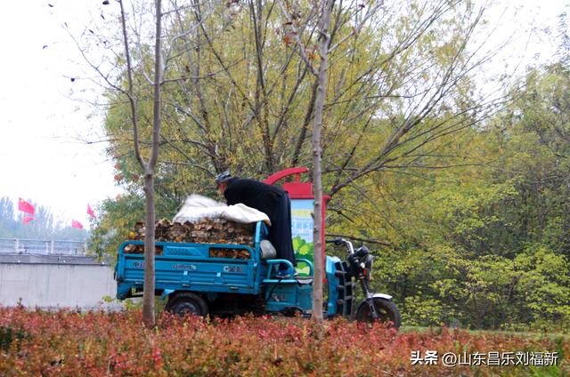 小丹河(老坝河水库西段)立冬那天的风光