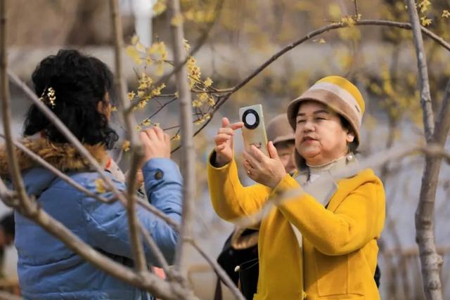 津门寻香，这里的花儿开好了！