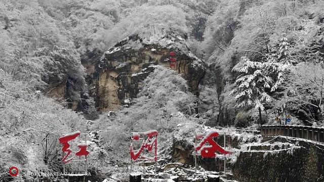 红河谷丨雪落林深处，山谷藏冬韵
