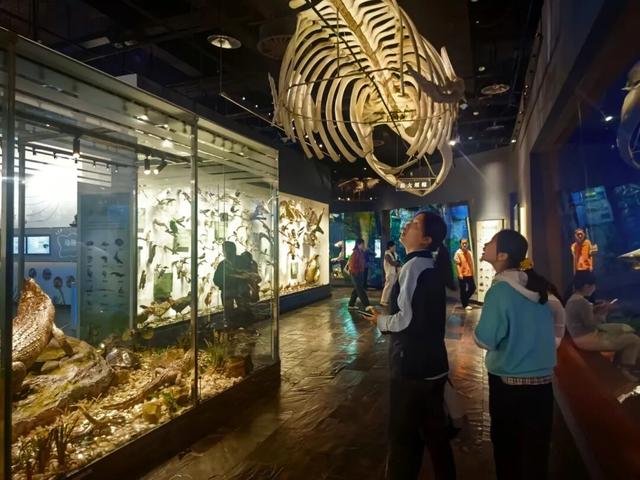 6天，近70万人！