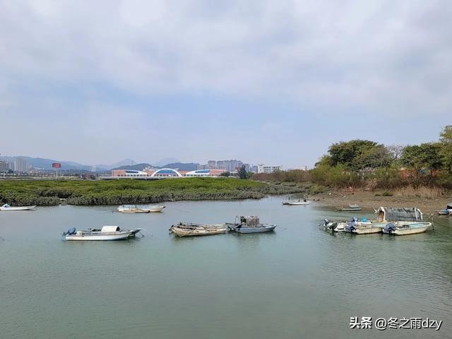 悠游泉州⑦:海内第一桥——洛阳桥（2025.2.8）