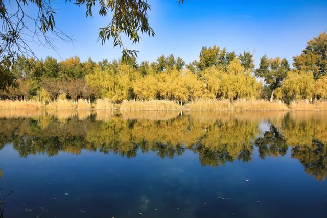 这些美照，最能说明五家渠的美景