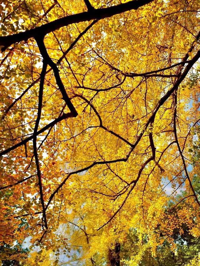 还起什么标题，美不美你们直接看！