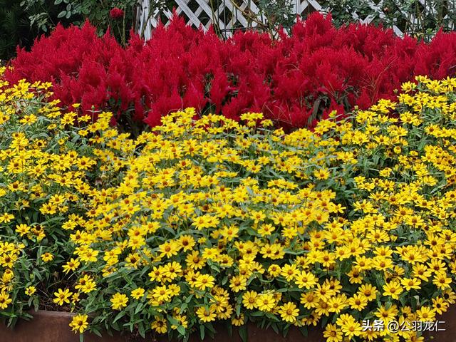 行吟2025：在山水与历史的褶皱里，拾捡时光的诗行