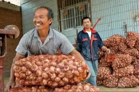 抢先看！2024年大蒜价格走势，让你成为市场上的蒜界高手！图片