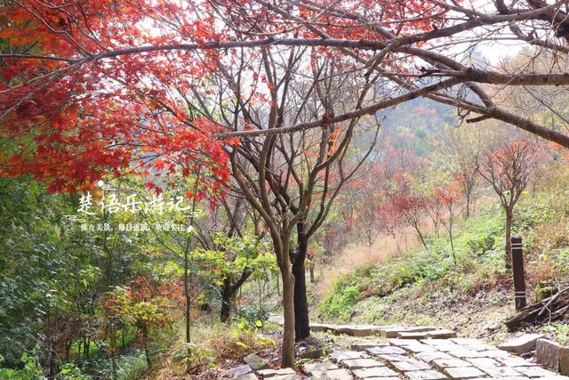 美到封神？余姚这处风景确实名不虚传，斑斓风景正值最佳观赏季