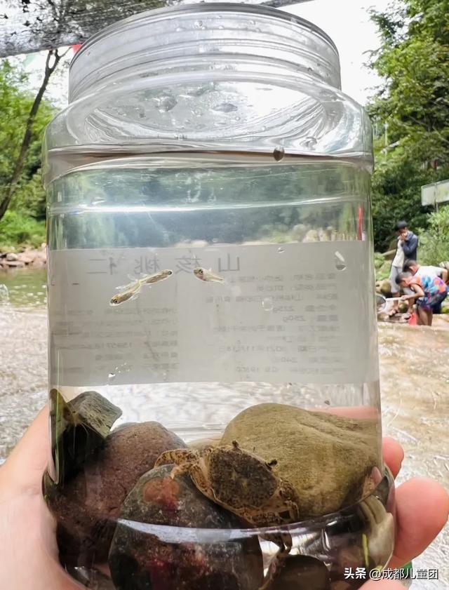 成都气温冲40°C！这3个小众耍水的好地方，比空调房安逸