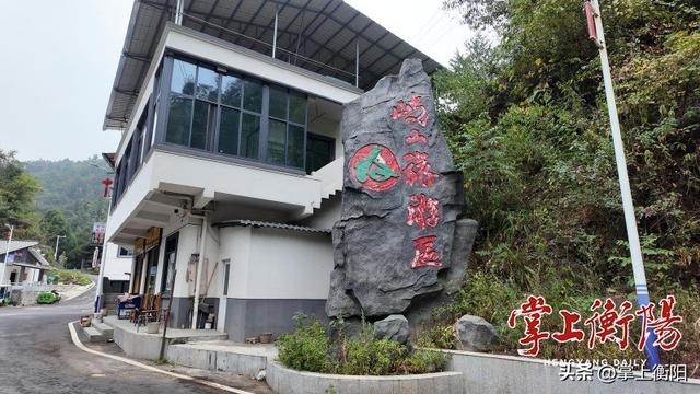 我为峰途丨岐山：凤形山势隐葱茏，登高此境忘尘缨